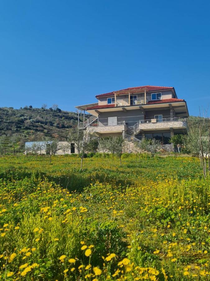 Guest House Ilir Berat Exterior photo